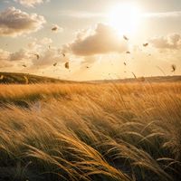 Adrian More - As Wind That Swirls in Echoes (Improvisation XXII)