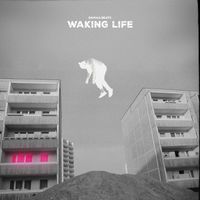 damaa.beats - Waking Life