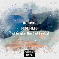 Hoopoe - Mindfield (The Remixes)