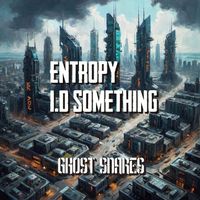 Entropy - I.D Something