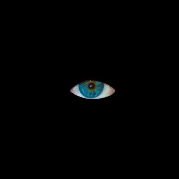IWIS - PLM (Explicit)