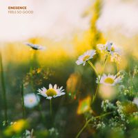 Enesence - Feels So Good