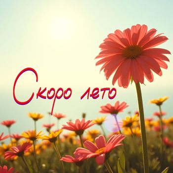 Collision - Скоро лето