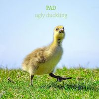 PAD - ugly duckling