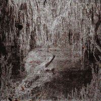 Jackal - Minus Growth (Explicit)