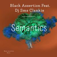 Black Assertion - Semantics