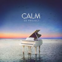 SD Project - Calm