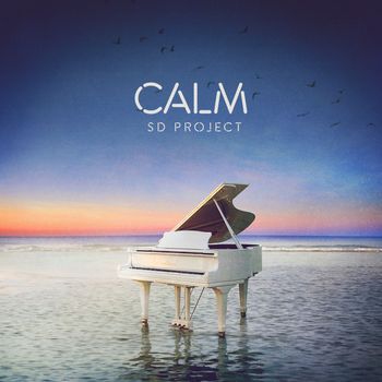 SD Project - Calm