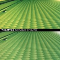 The VSS - Nervous Circuits