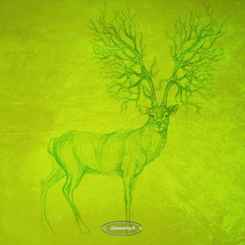 Various Artists - Check in Progress