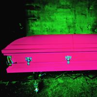 Dweeb - PINK CASKET