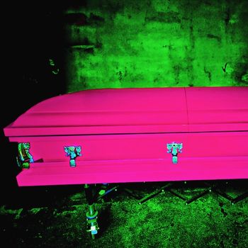 Dweeb - PINK CASKET