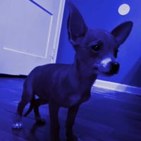 Sebastian - Blu Blu Blu