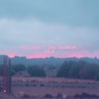 AYLA - You Didn't Say Goodbye.
