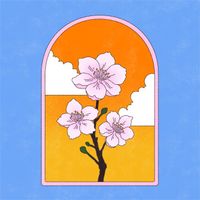 Löwenzahnhonig - Summersurf