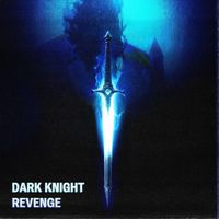 DARK KNIGHT - REVENGE