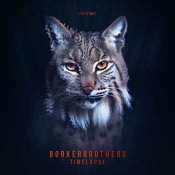 BorkerBrothers - Timelapse