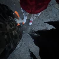 K7 - In The Partyyyyy (Explicit)