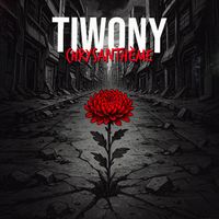 Tiwony - Chrysanthème
