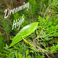 fredy - Dreaming High (Rework)