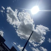 OBM - 414 R Sex (Explicit)