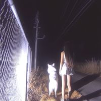 After Dark - Night Journey