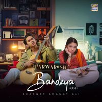 Shafqat Amanat Ali - Bandeya (From "Parwarish")