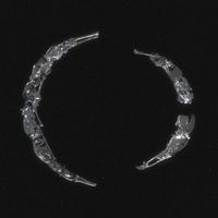 Simula - Afraid / Count 10