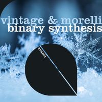 Vintage & Morelli - Binary Synthesis