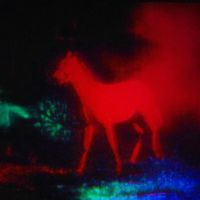 Maahir - Berlin Horse (Explicit)