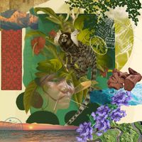 NAOBA - BIOSPHERES & THE VOICES OF EARTH
