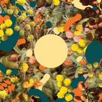 Sampology - Morning Sun