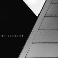 Ozone - Introspection (Explicit)