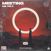 MS Pika - Meeting