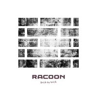 Racoon - Brick by Brick