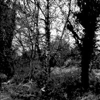 Technicolor - ARP928