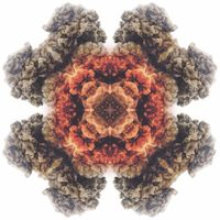 Colour Haze - To the Highest Gods We Know (Remastered)