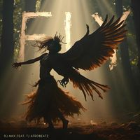 DJ Mnx - Fly