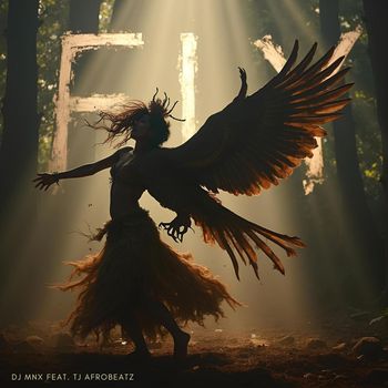 DJ Mnx - Fly