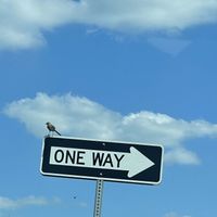 Company - One Way