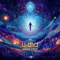 U-Qlid - Higher State