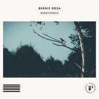 Bernie Rosa - Nightingale