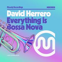 David Herrero - Everything Is Bossa Nova