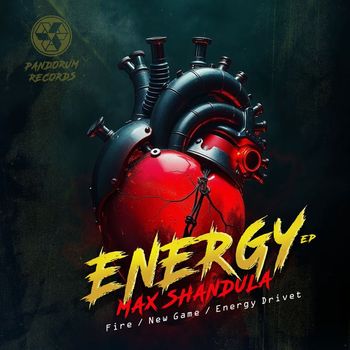 Max Shandula - Energy