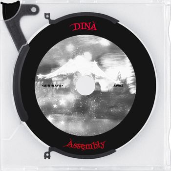 DINA - Assembly