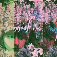 ViVi - Perennial