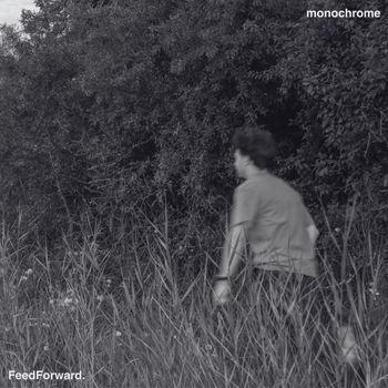 FeedForward - monochrome