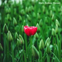Mark Andrew Hansen - One of a Kind (Radio Edit)