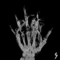 SVBMXLEY - Rgn23