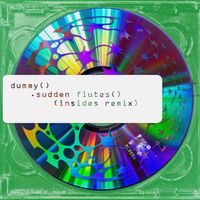 Dummy - Sudden Flutes (Insides Remix)